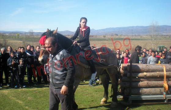 Конят Мартин изтегли най-тежкия товар на Тодоровден край Мусомища – ИНФОМРЕЖА – НОВИНИ ОТ ЮГОЗАПАДНА БЪЛГАРИЯ