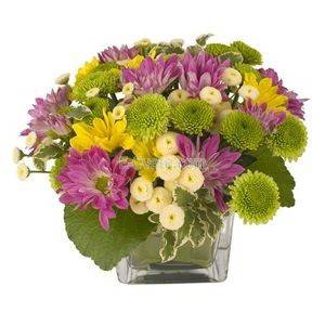 Доставка на цветя с БГФлорист – Разнообразните пролетни цветя в горите