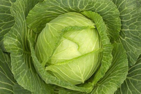 Сок от зеле против редица болести