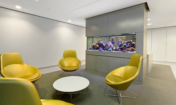 Няколко идеи за декориране на офиса