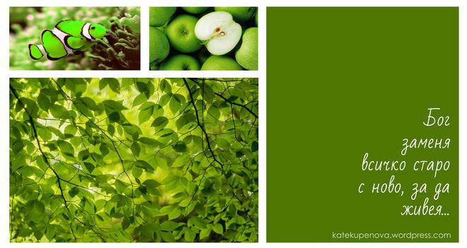 Моите мисли в ЗЕЛЕНО