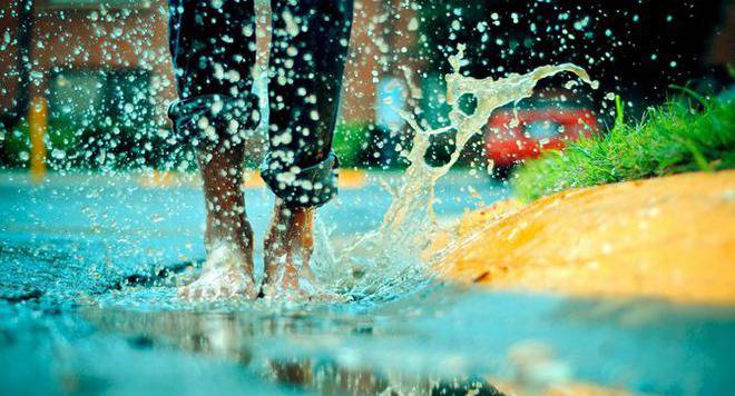 Коя е красотата, която ще спаси света според Рей Бредбъри