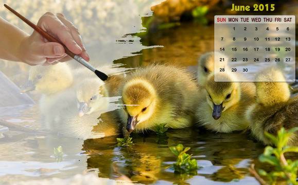 10 събития през юни 2015, които не трябва да пропускате