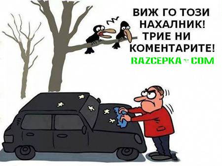 Виж го този нахалник