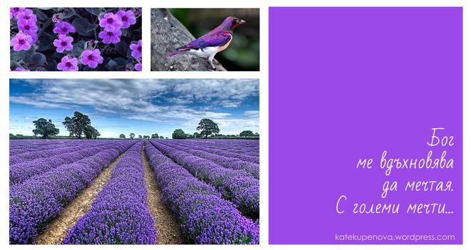 Моите мисли в ЛИЛАВО