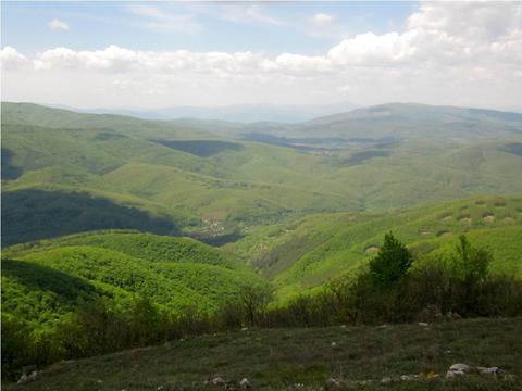 Из Колош планина