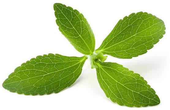 Билката Стевия – най-здравословният подсладител