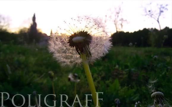 Днес е Световният ден на околната среда