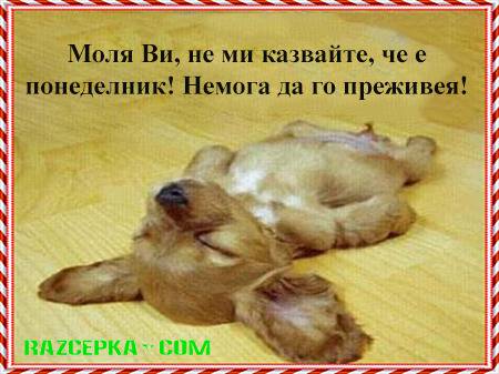 Моля ви не ми казвайте че е понеделник