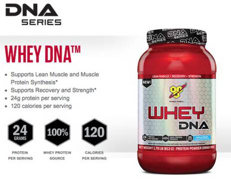 BSN DNA WHEY 4lbs