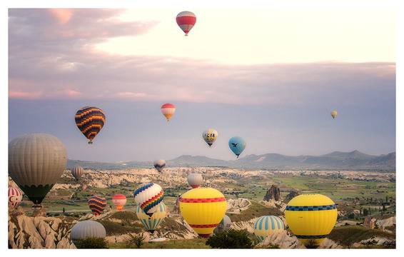 Тинктура за здрав черен дроб