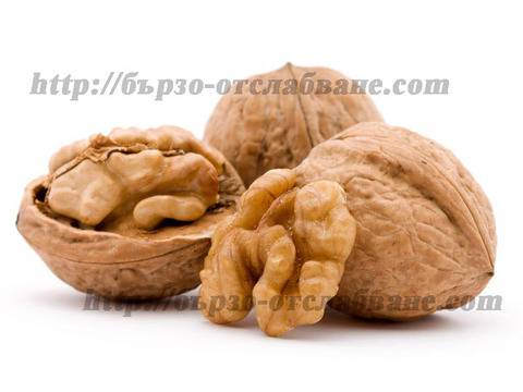 “Биография” на ореха