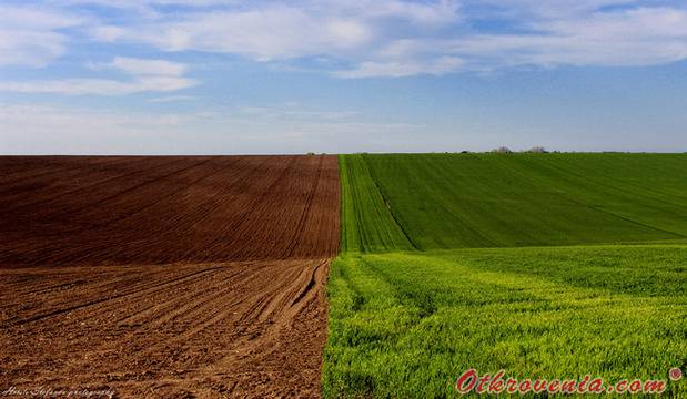 Христо Стефанов (ico10) – Полски контрасти – фото: Природа, Пейзаж