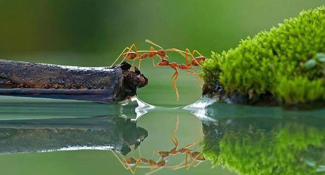 20 урока за живота, с които ще се почувстваш по-силен