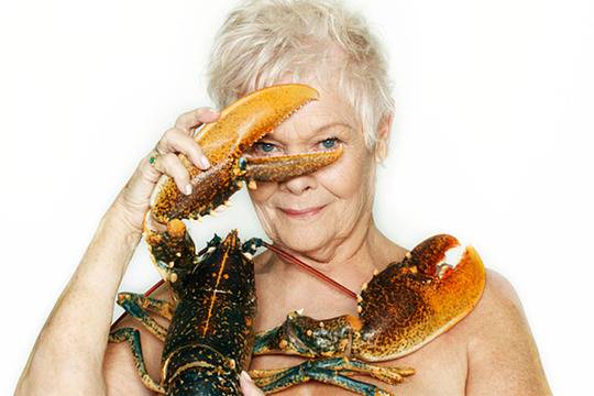 80-годишната Джуди Денч се съблече в името на животните