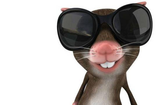 Забавната истина за нас