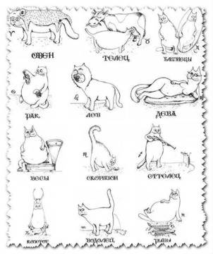 Забавен хороскоп: Нравът на коя котка носиш според зодията си?