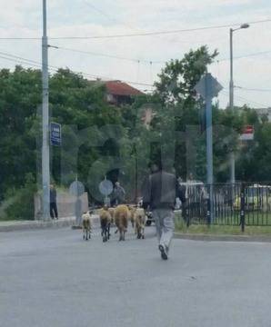 Искате ли да разберете какво Ви очаква в утрешния ден! Вижте какво ще Ви се случи тук!