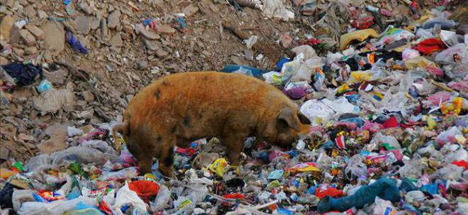 Aма, верно ли това ни харесва?