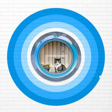 Минималистично и колористично