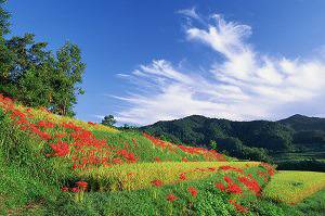 ЗЗЗ сървър спецификация