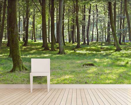 Колекция очарователни самозалепващи фототапети