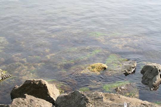 ВРЕМЕТО В КИТЕН