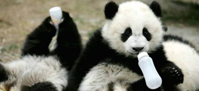 Детска градина за панди