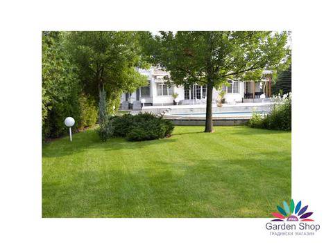 Тор за райграс против мъх със специална бактерия GREEN COMFORT 3 in 1