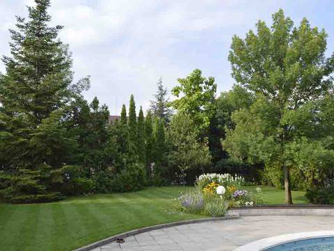 Тор за тревни площи с анти мъх ефект Green Comfort anti moss 5-5-20 (+3MgO)