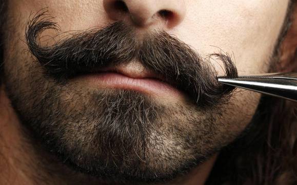 10-те страни с най-много мустаклии