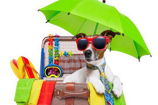 Конкурс: Моето горещо лято