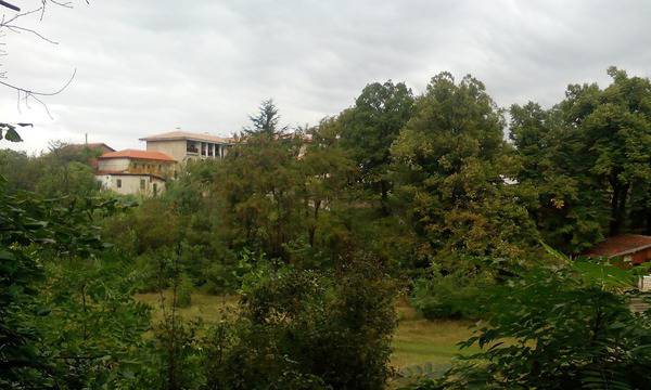 Манастир „Свети Атанасий“ – село Златна ливада