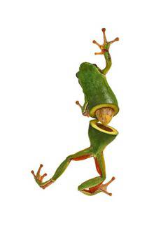 През блендера на Фотошоп-а