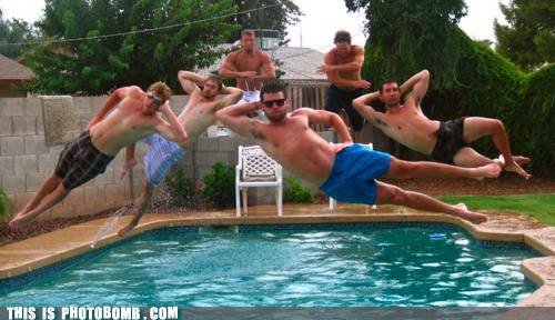 Тези фотобомби няма как да не ви разсмеят