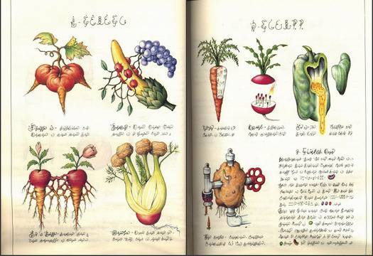 Кодекс Серафинианус: Най-странната книга на света