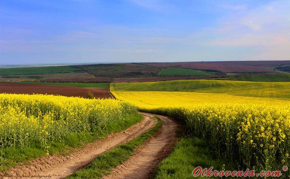 Христо Стефанов (ico10) – Разцъфнали полета и път без посока… – фото: Природа, Пейзаж