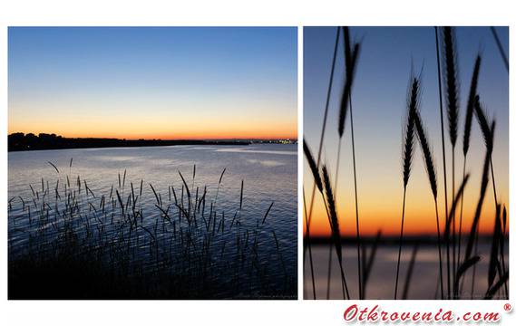 Христо Стефанов (ico10) – Юлски нощи – фото: Природа