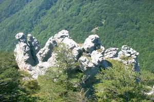 10 ФЕНОМЕНА ЗА КОИТО НЕ СТЕ И ЧУВАЛИ В БЪЛГАРИЯ