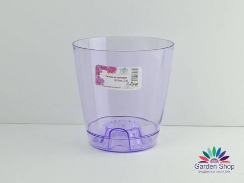 Пластмасова прозрачна саксия за орхидеи Ангрекум (лилав цвят)