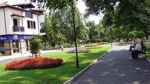 Пръскат в Момчилград срещу паразити