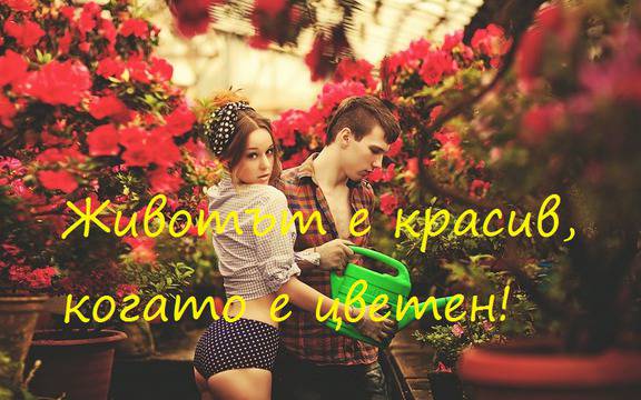 Прегрешения и извинения в любовта според зодиакалните знаци