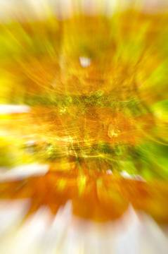 Златната куркума