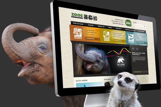 Сърдити сте на света? Вижте този видеоклип