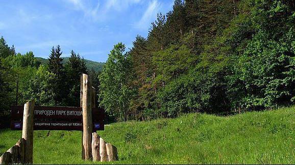 Природен парк „Витоша” с цялостна визия за развитие