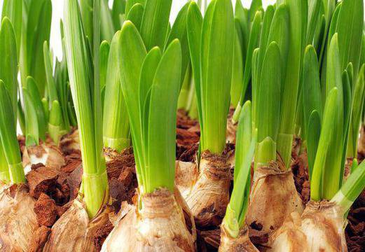 Перфектен сватбен подарък за вашите гости