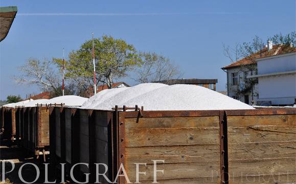 Къпане в луга и мазане с кал на третия Фестивал на солта в Бургас