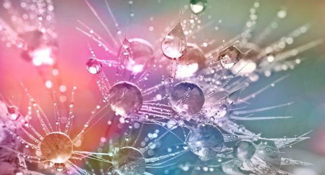 10 правила за човешките същества