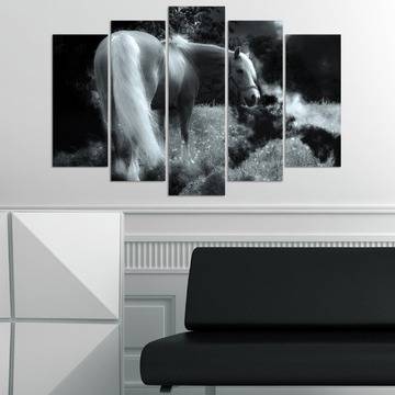Декоративно пано за стена с кон в черно и бяло VH-588