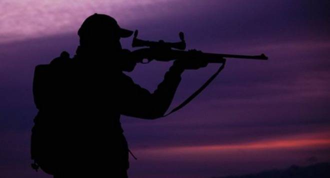 Жесток бракониер уби три елени и сърна край Нановица, дирят го